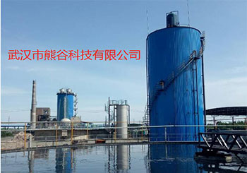 武漢熊谷科技食品工業(yè)廢水處理解決方案工程案例