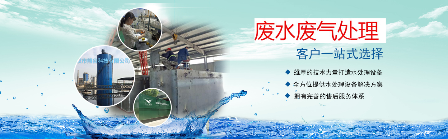 湖北武漢水處理公司_湖北武漢水處理設(shè)備廠家公司